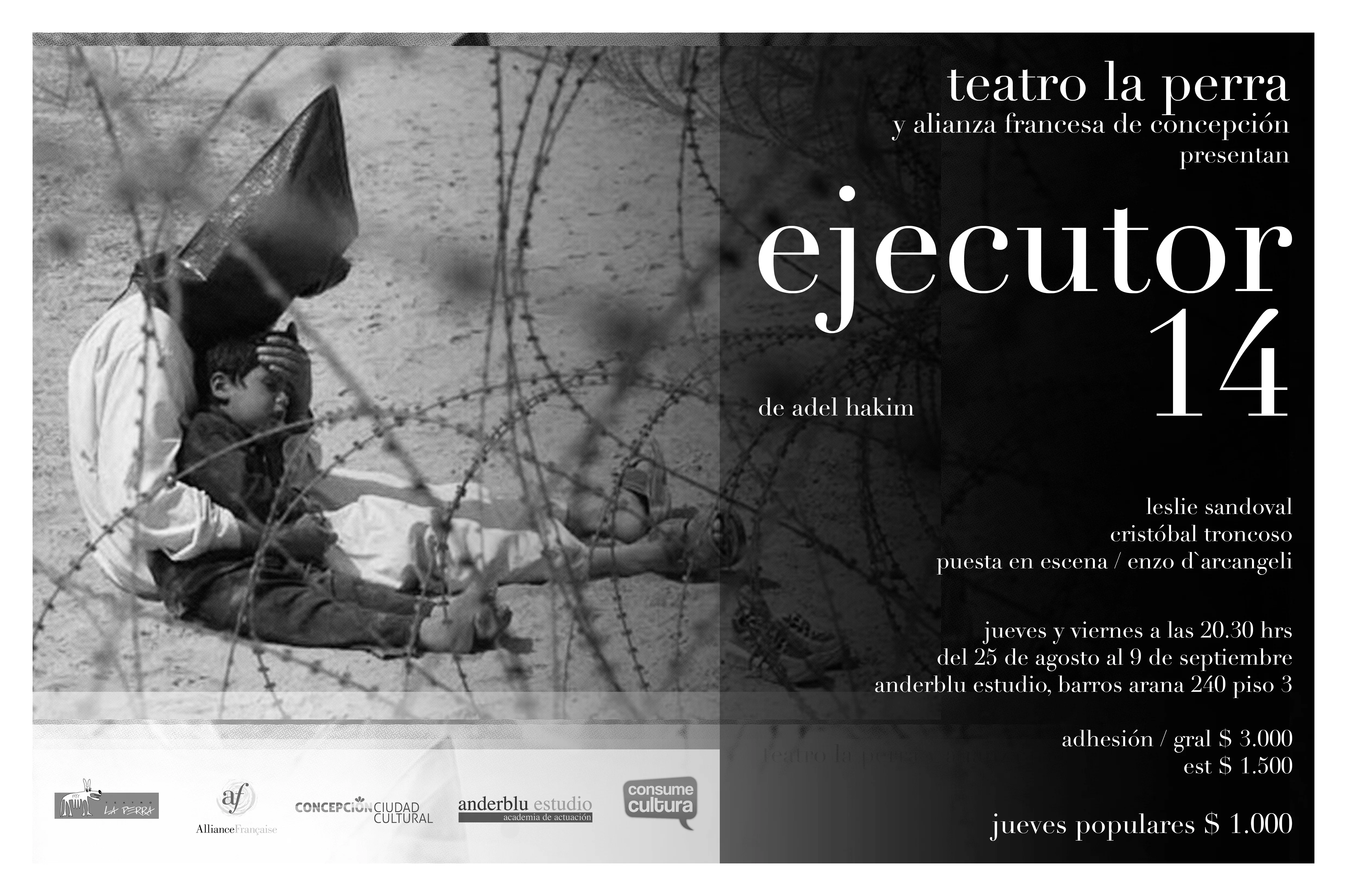 Afiche de Ejecutor 14