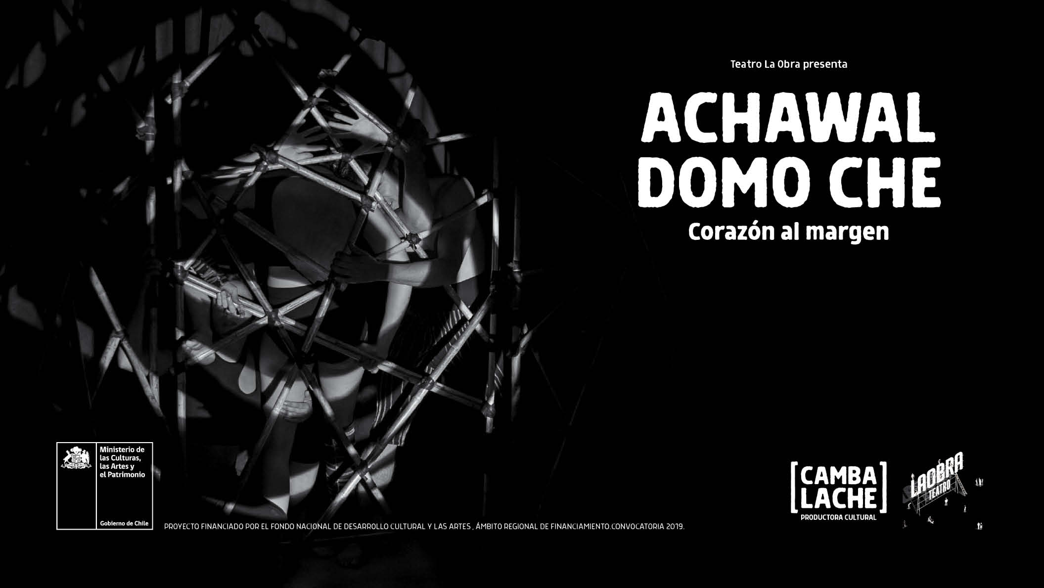 Afiche de Achawal Domo Che